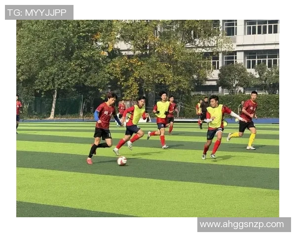 聚焦申城绿茵热潮探秘上海业余足球球星的奋斗与荣耀之路